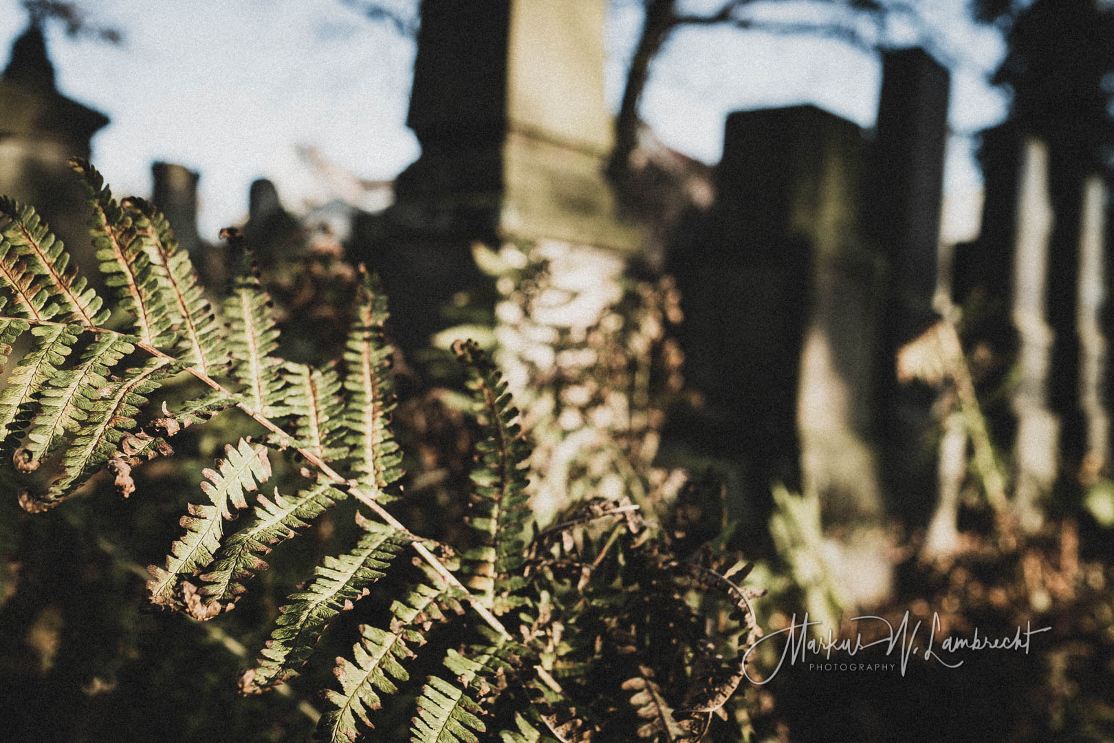 Korbach, Jüdischer Friedhof